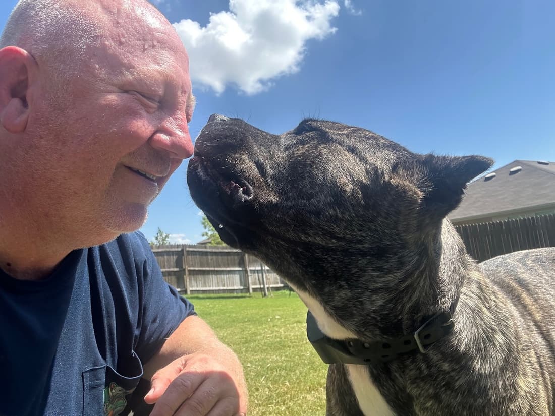 Rhino Scoop dog waste removal service in a clean Alliance Fort Worth backyard